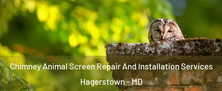  Chimney Animal Screen Repair And Installation Services Hagerstown - MD