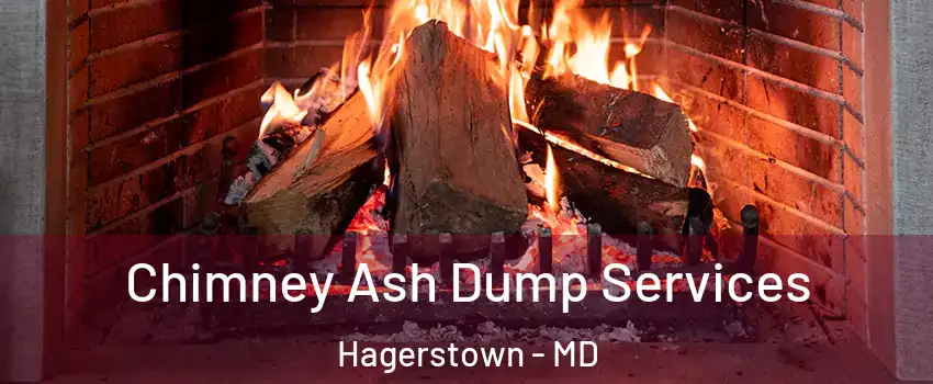  Chimney Ash Dump Services Hagerstown - MD