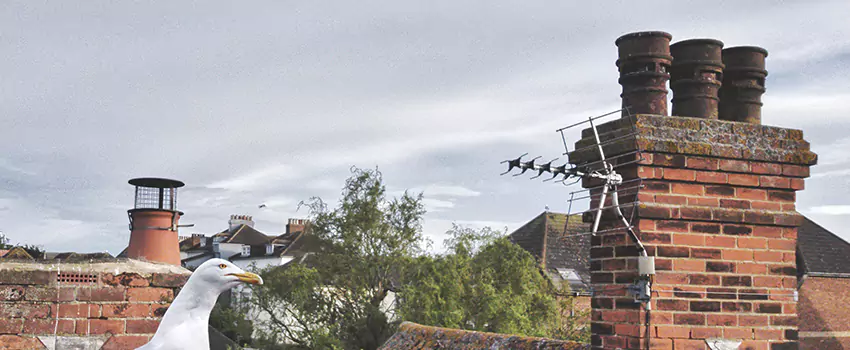 Chimney Cleaning And Restoration in Hagerstown, Maryland