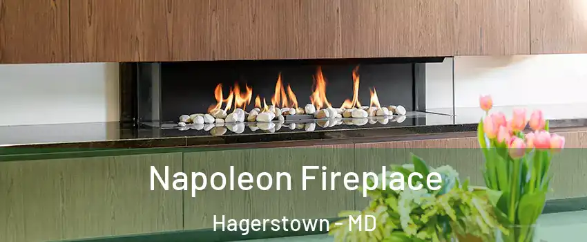  Napoleon Fireplace Hagerstown - MD