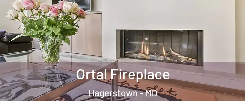 Ortal Fireplace Hagerstown - MD